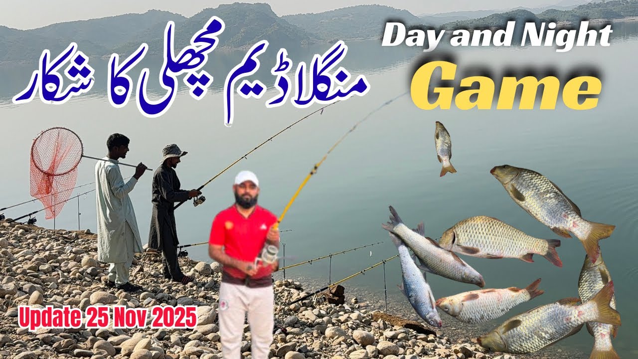  Mangla Dam Fish Hunting Day and Night hunting | 25 Nov 2025 Update | Gulfam Fish Hunting | 