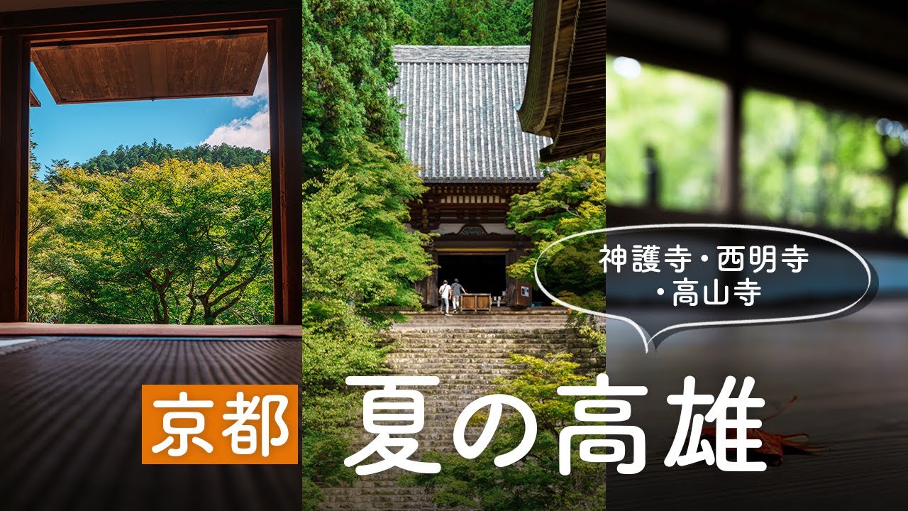 【京都 高雄観光】紅葉直前！青もみじと川床ランチ｜神護寺｜西明寺｜高山寺｜とがの茶屋｜錦TERRACE zap｜鳥獣戯画