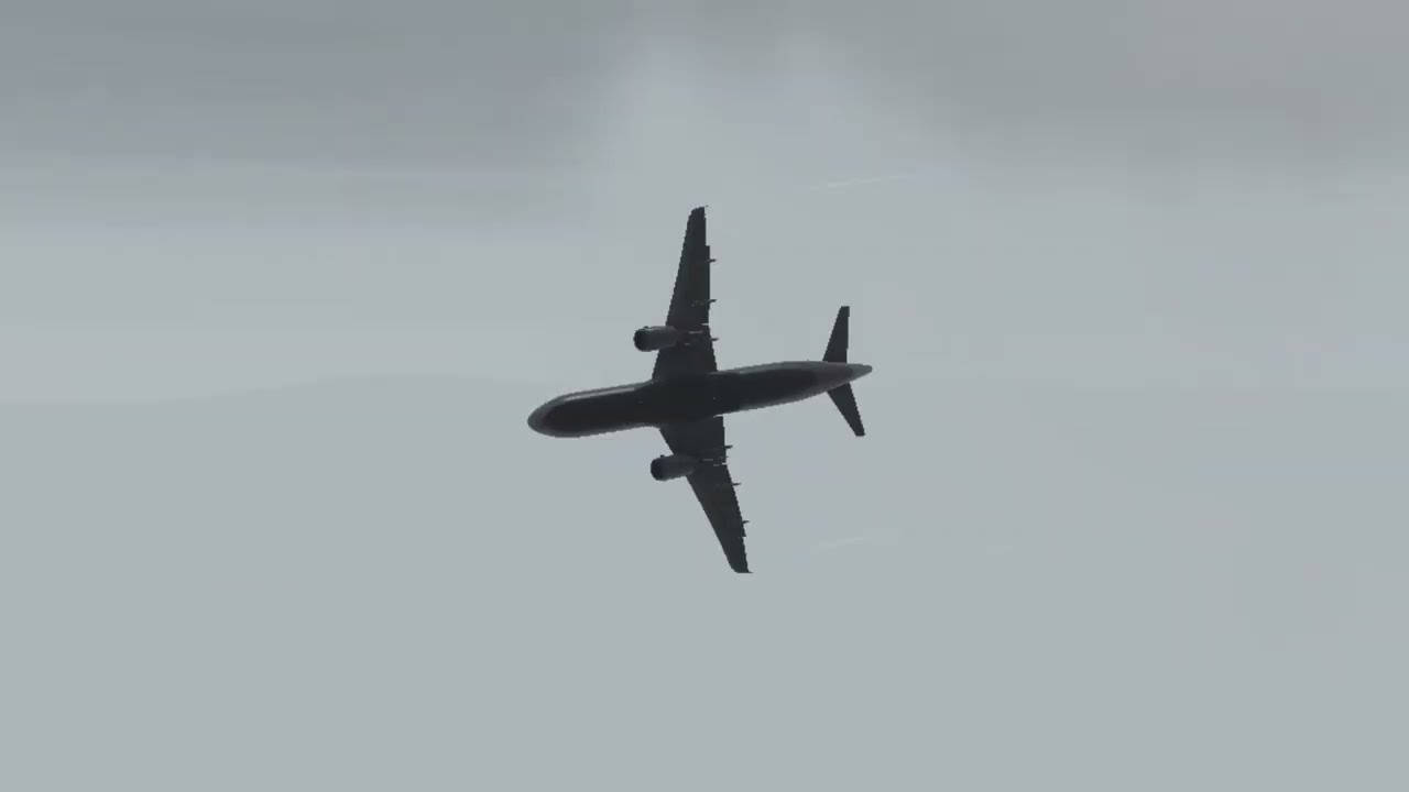 Copa Airlines Flight 213 Plane Crash Animation (Fiction)