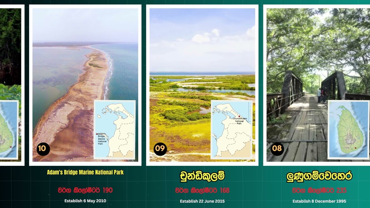 ලංකාවේ විශාලතම අභයභූමි | Sri Lanka's largest sanctuaries #top10 #top10list #sinhala