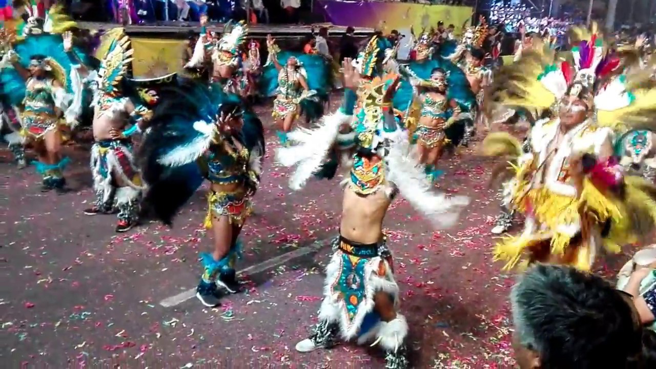 TOBAS ANDINO SAJAMA 2018 ARICA