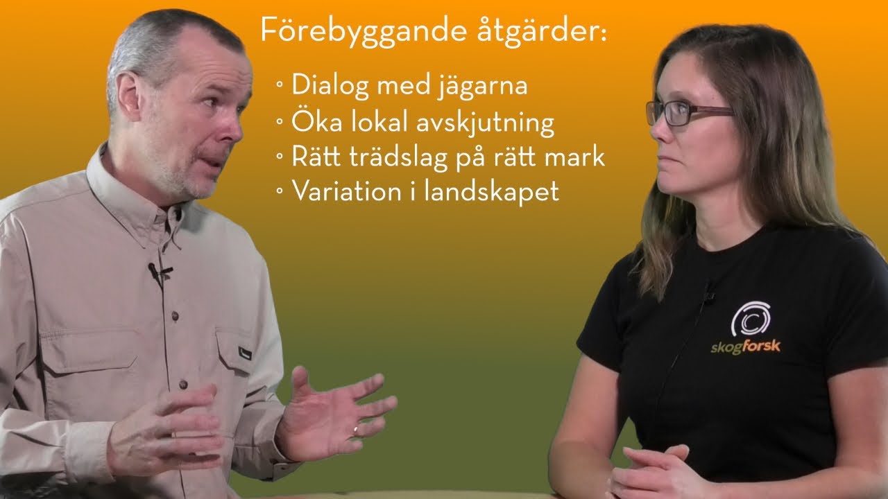 Viltanpassad skogsskötsel i praktiken - seminarium 5: Kronhjorten och skogen