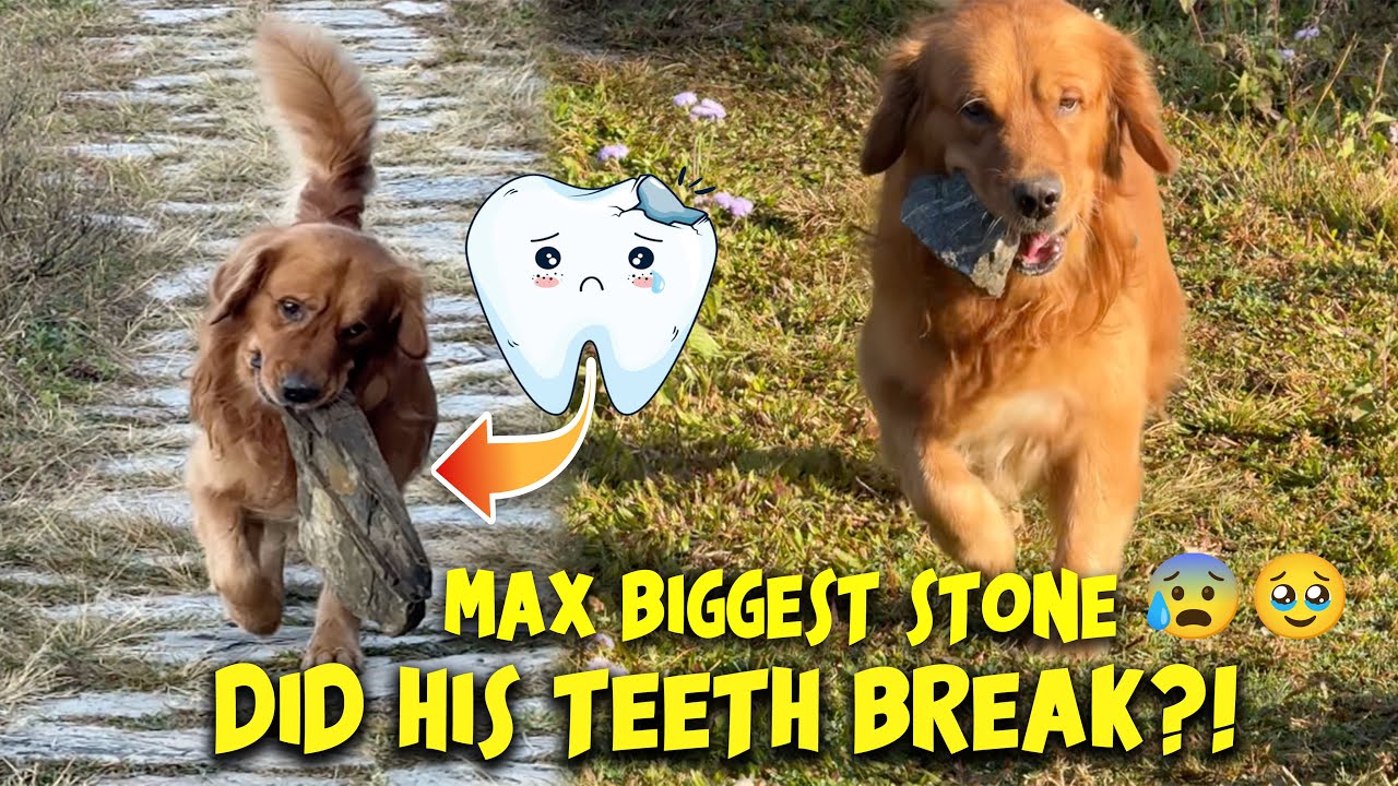 BIGGEST STONE EVER😳😳 