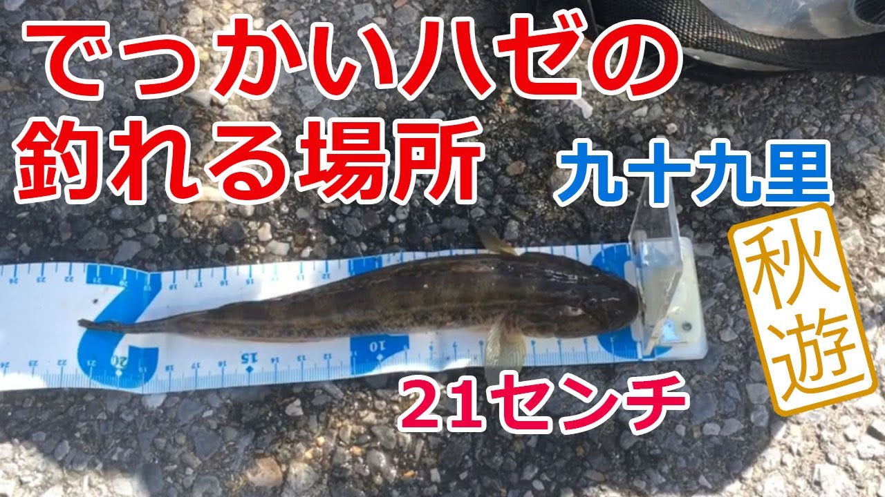 九十九里　でっかいハゼの釣れる場所