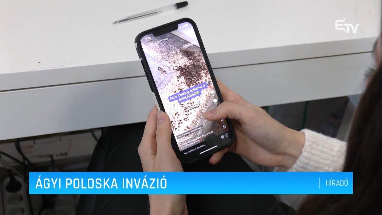 Ágyi poloska invázió – Erdélyi Magyar Televízió