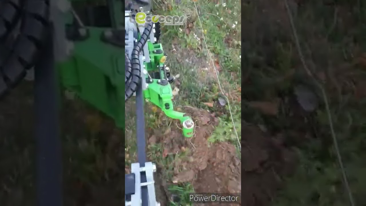 Démonstration outil ECOCEP® sur culture en rang