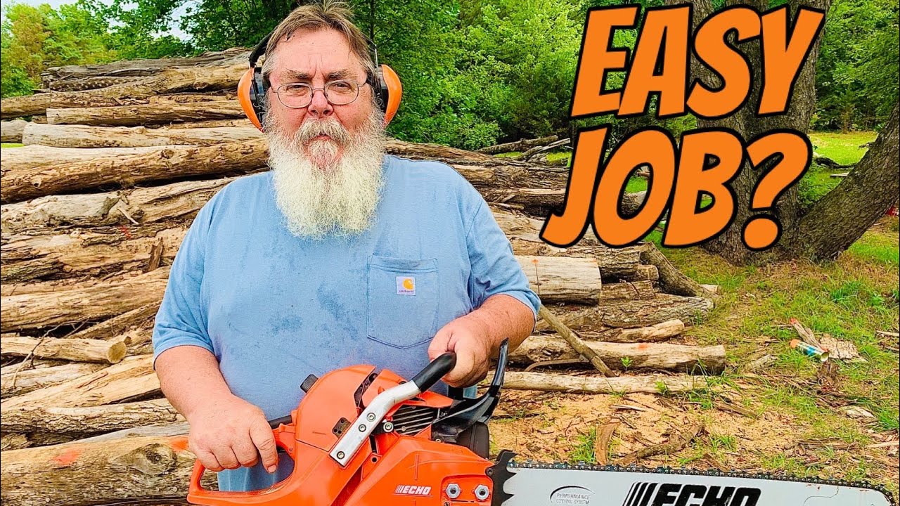 FIREWOOD | Bucking logs from log pile, hard job?