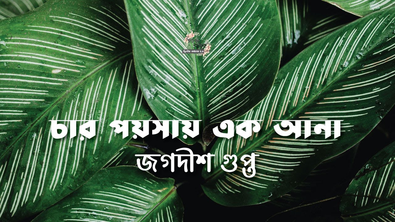 চার পয়সায় এক আনা | জগদীশ গুপ্ত | Jagadish Gupta | বাংলা গল্প | গল্পকথন by কল্লোল