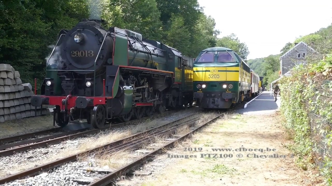 PFT TSP SNCB 29013 Vapeur SAFARI 2019