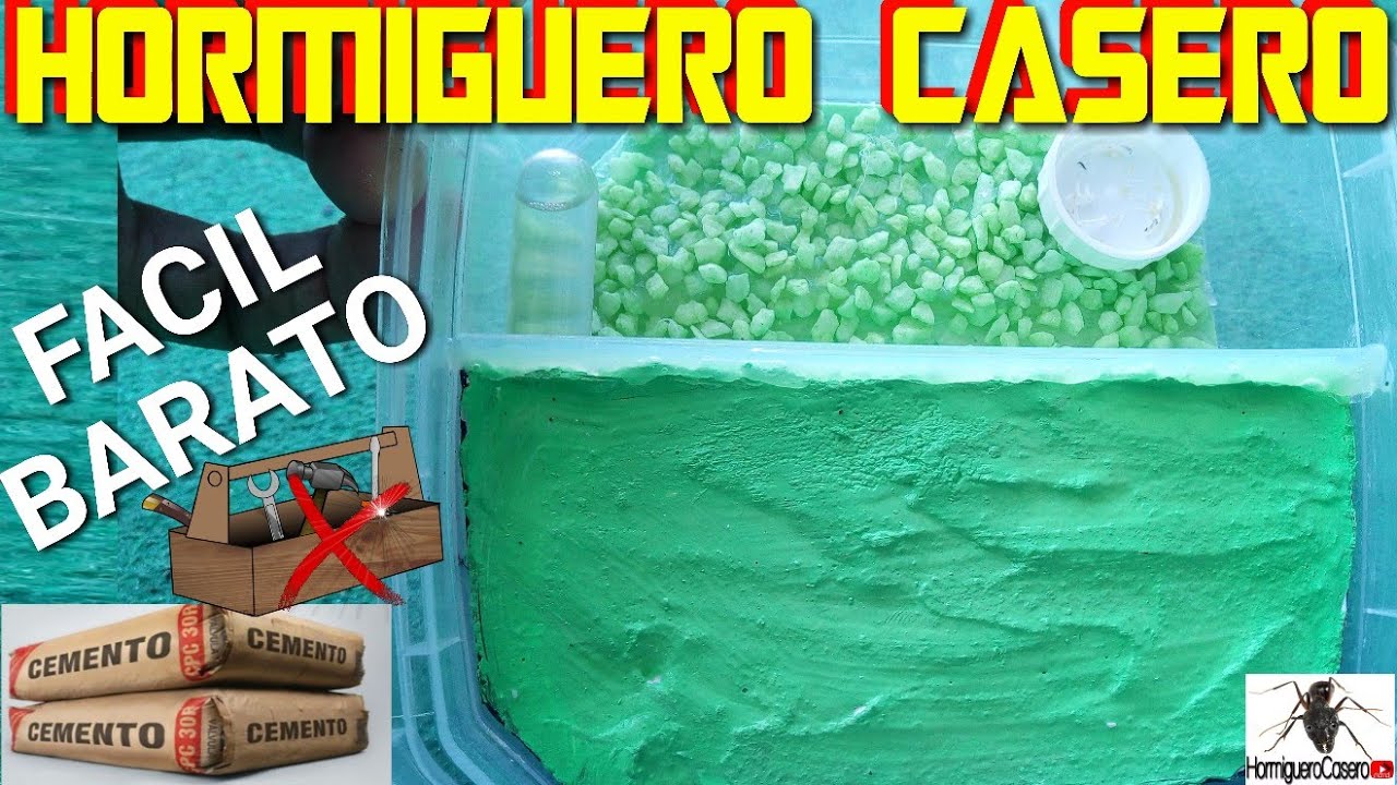 Cómo hacer Hormiguero casero fácil de cemento blanco Tutorial hormiguero - Hormiguero Casero channel