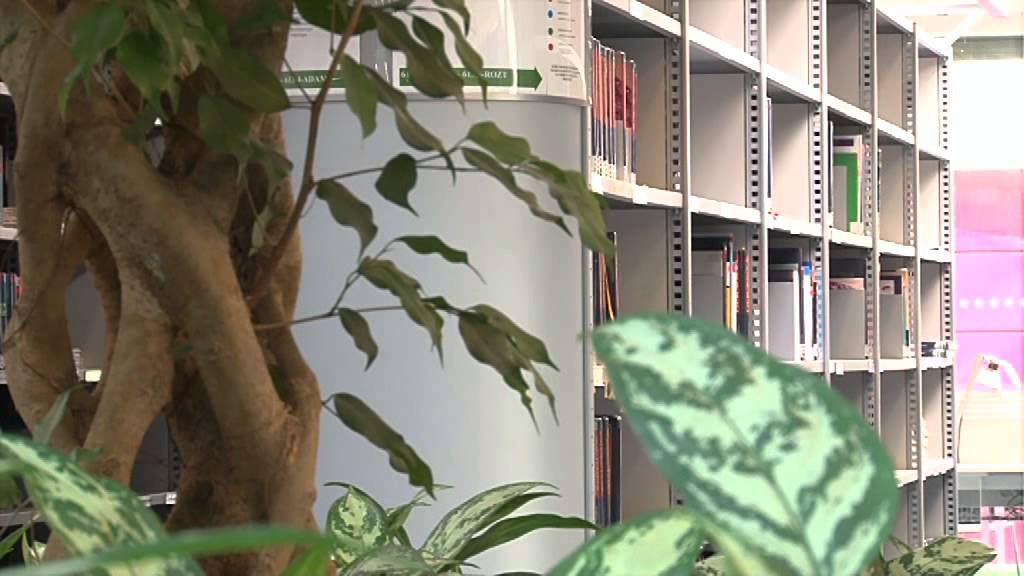 Official Video of the Faculty of Medicine, MU