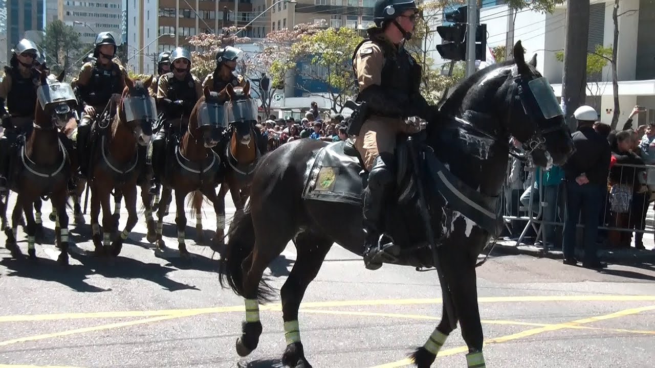 Cavalaria no desfile de 7 de Setembro