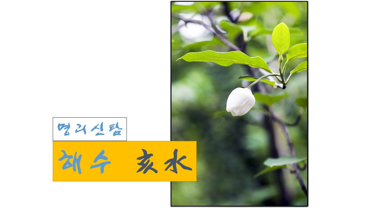해수