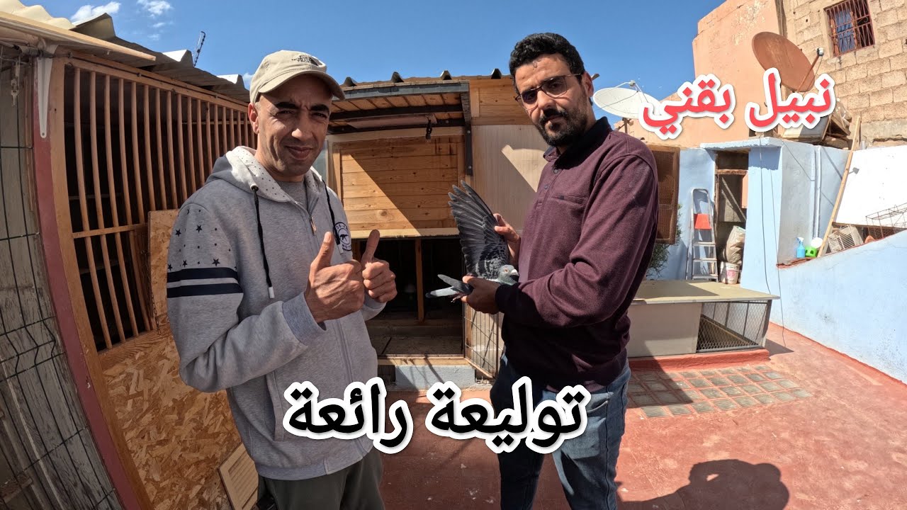 زيارة عند البطل الخلوق 