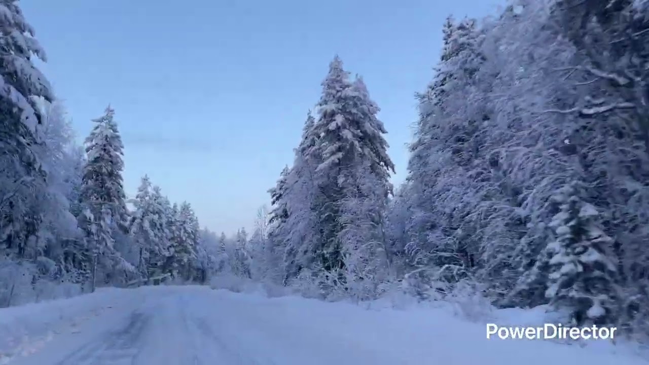 Рождественская поездка 2026