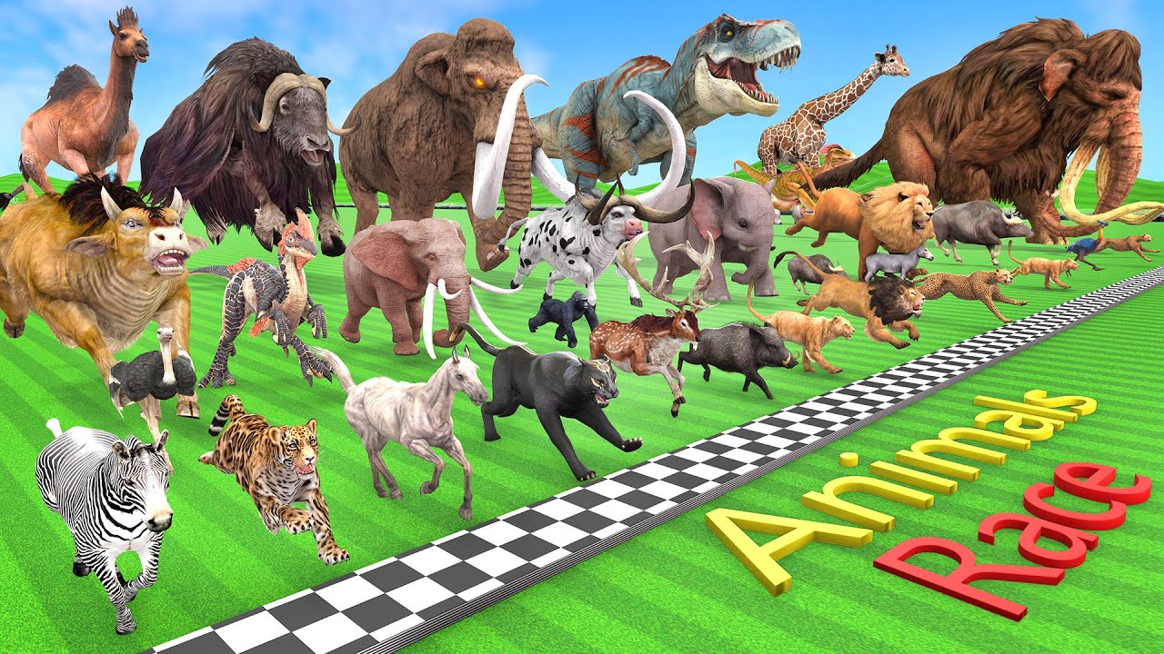 Big 30 Wild Animals Running Race, Which is the Fastest Animal? Tiger, Lion, Cheetah, Horse ARBS