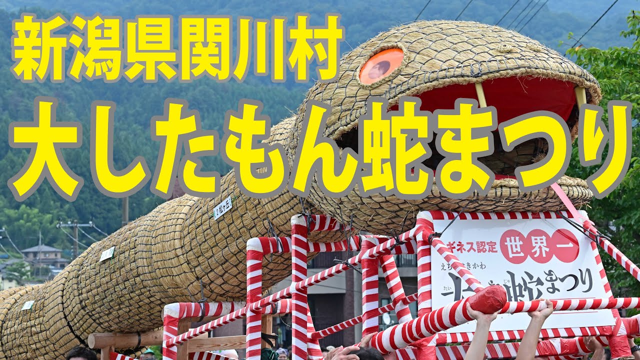［活写］“み”守り　大わらわ　新潟県関川村「大したもん蛇まつり」