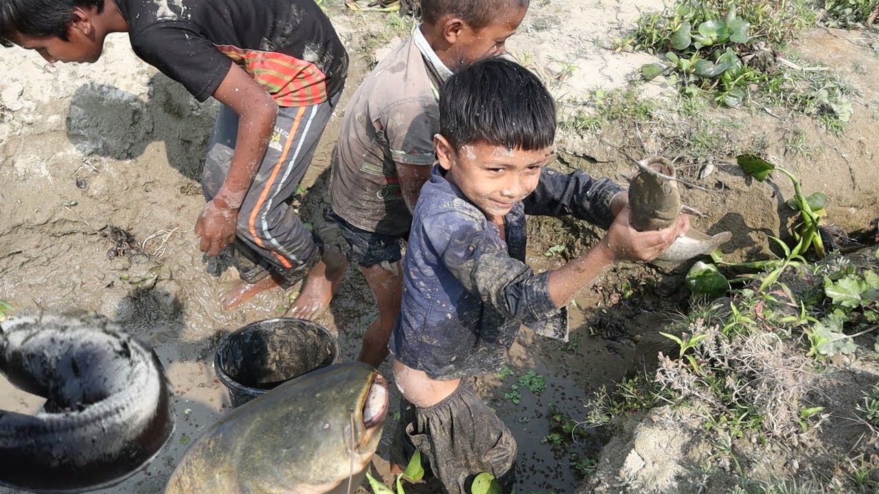 Asian Village Kids Catches lots of Fish From Mud Water || Dry Season Hand Fishing Video  #Fishing