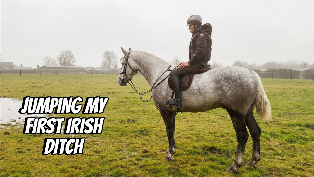 I Flew to Ireland to Go Horse Shopping for a Hunter Part 2