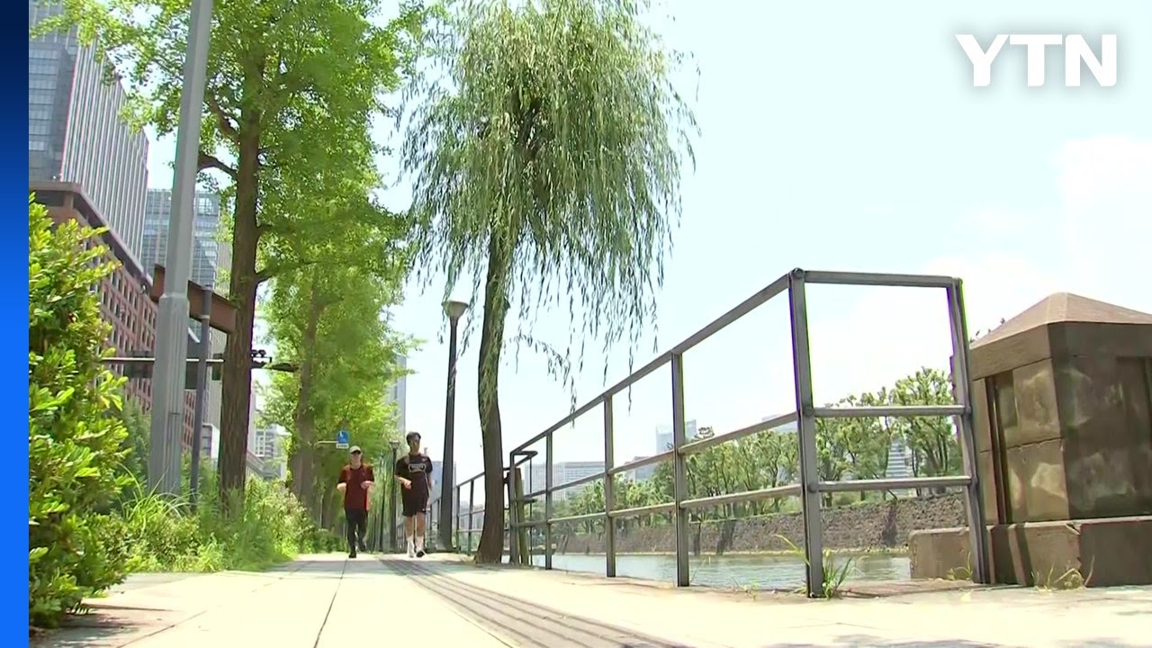 강남도 나무숲으로...서울 도심 녹지공간으로 '대개조' / YTN