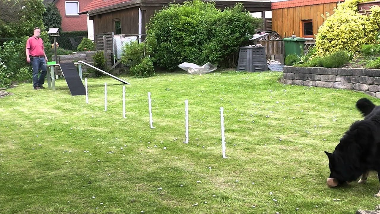 Kopftraining f&uuml;r Alex
