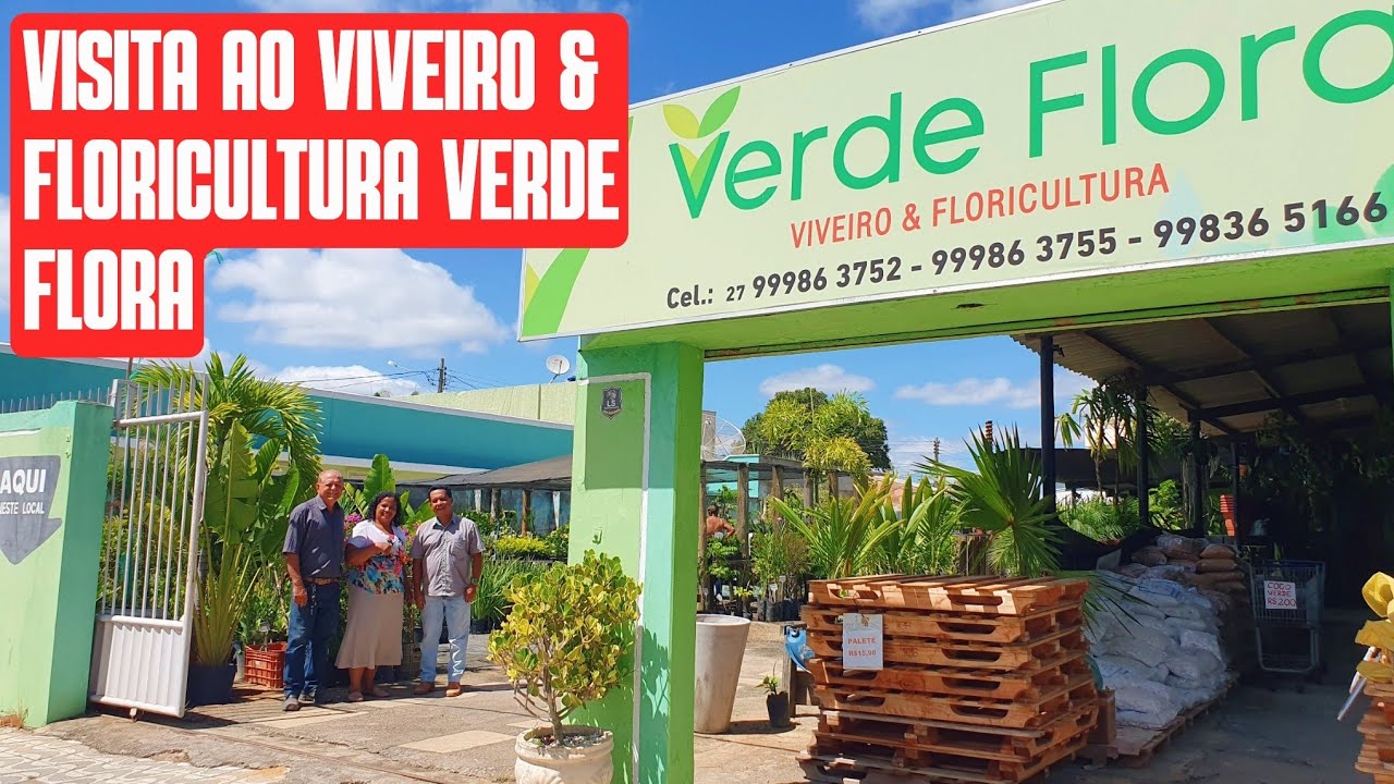 VISITA AO VIVEIRO E FLORICULTURA VERDE FLORA | PLANTAS ORNAMENTAIS | FRUTÍFERAS E MUITO MAIS