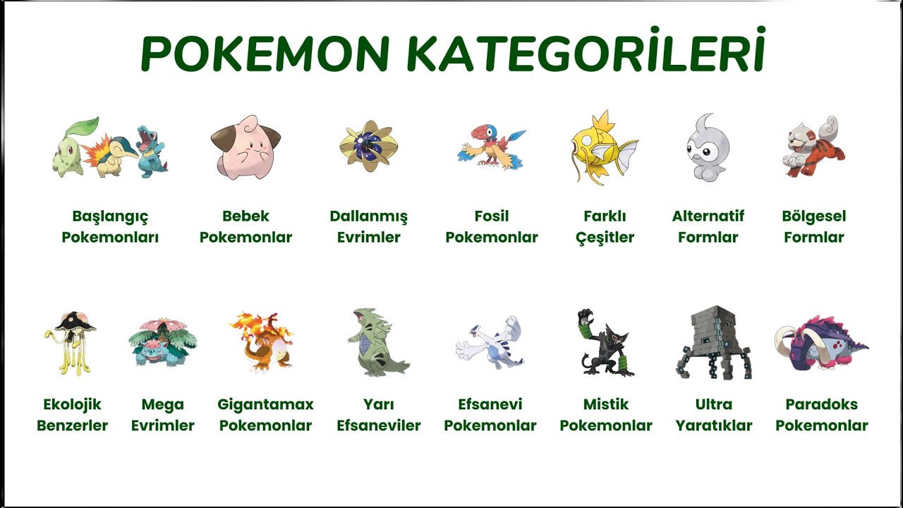 7 Dakikada T&uuml;m Pok&eacute;mon Kategorileri