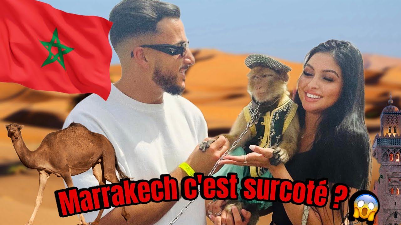 ROAD TRIP DE MARRAKECH À TANGER 🇲🇦