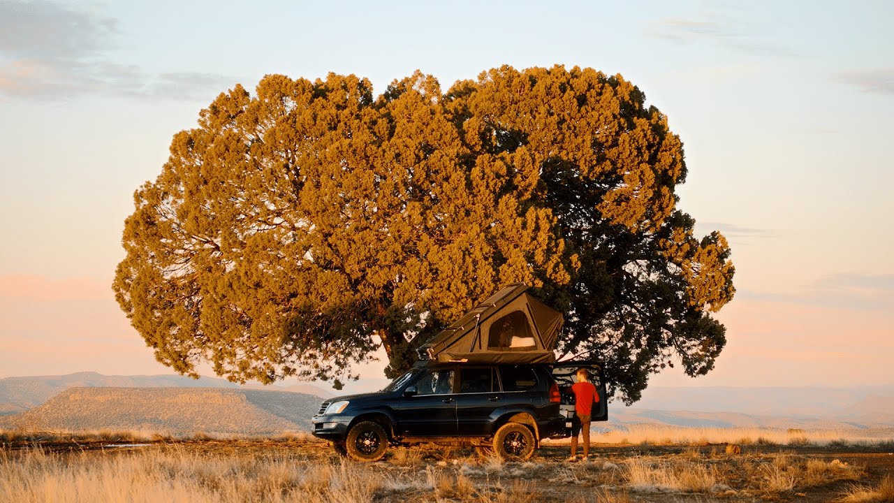 Peaceful solo car camping. Lexus GX470 overland. A relaxing weekend.