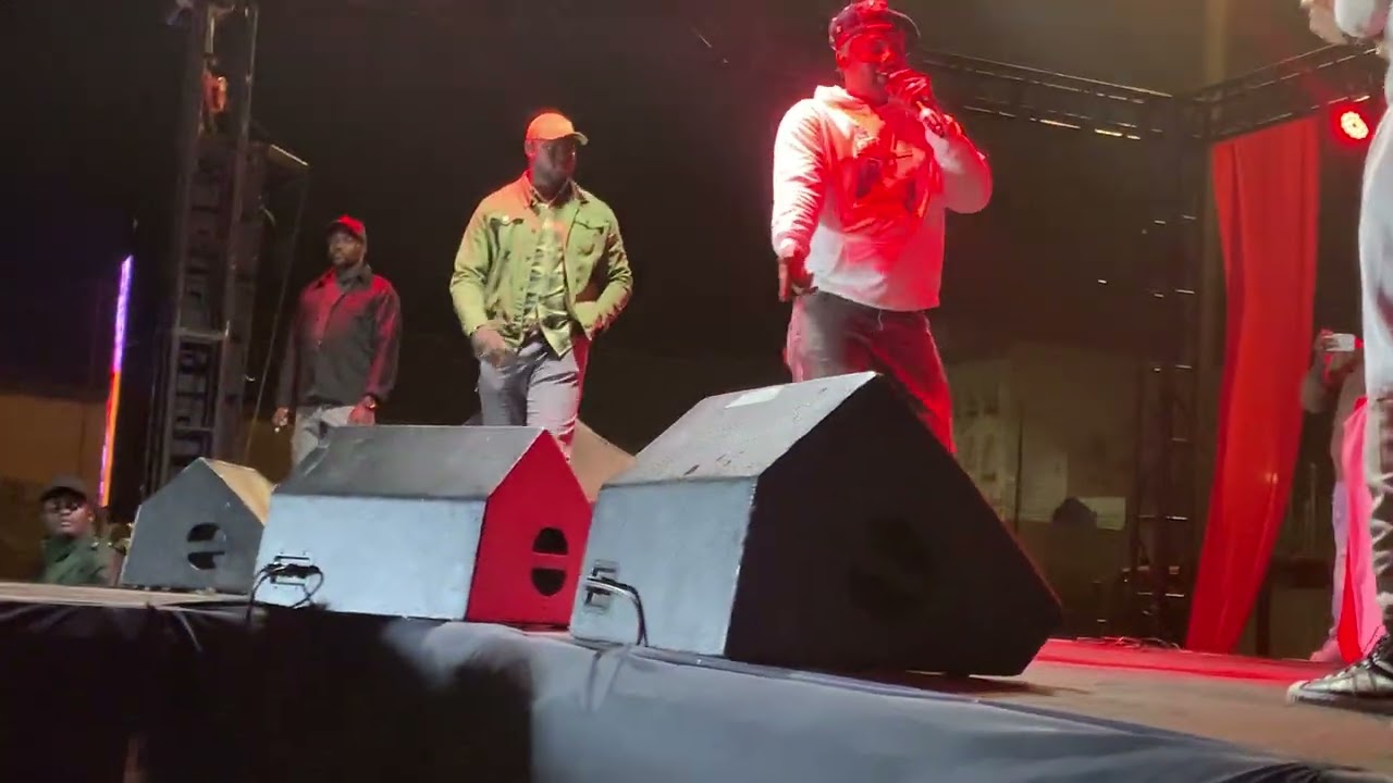 Concert de DJANI ALPHA AU SÉNÉGAL 🇸🇳 DAKAR 🔥🔥🔥🔥