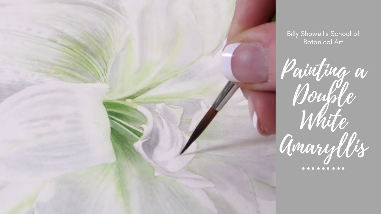 Painting a Double White Amaryllis -Preview ⎮ Billy Showell ⎮Watercolour Beautiful