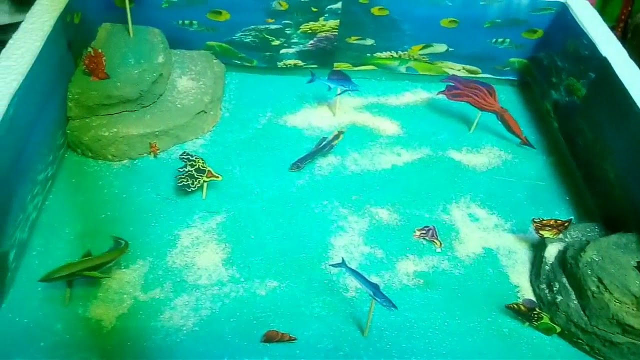 Maqueta De fondo Marino