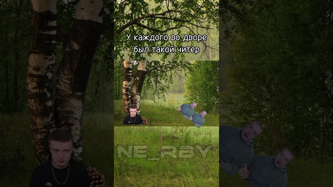 #abc #shiska #rec #mellstroymemes #melstroy #les #video #actualochka