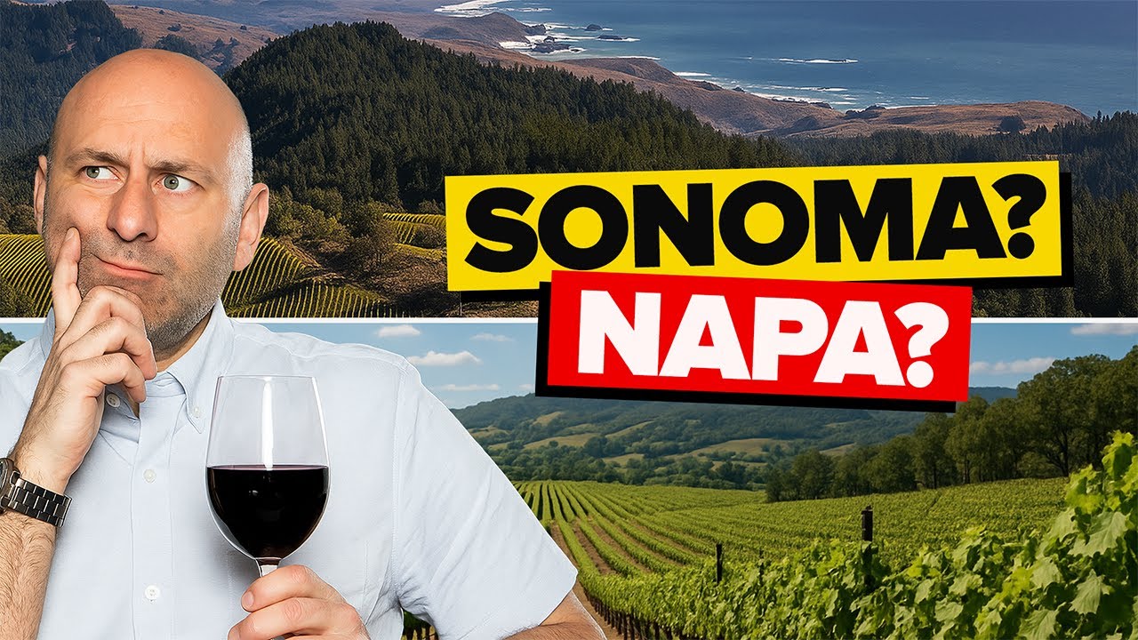 Napa or Sonoma? The Battle of Wine Regions