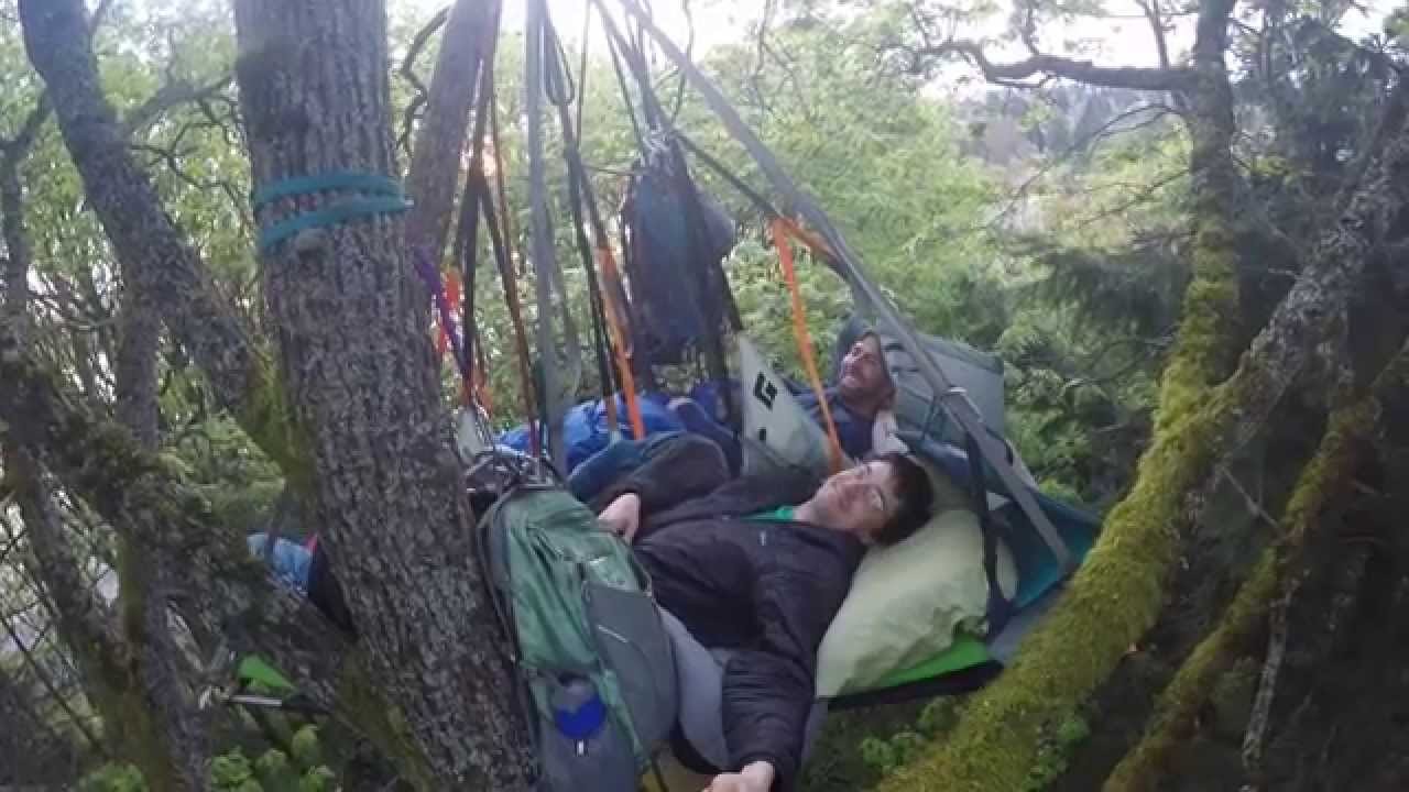 sleeping in trees