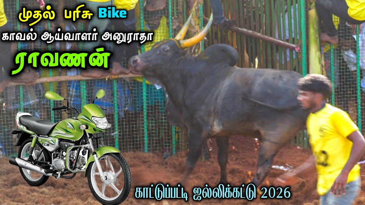 Bike முதல் பரிசு SI அனுராதா ராவணன் | காட்டுப்பட்டி ஜல்லிக்கட்டு 2026 Jallikattu Videos 