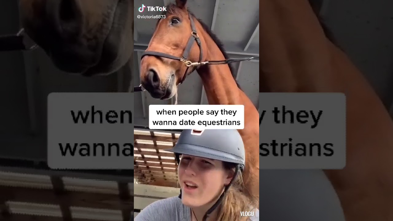 Ayo! Horse Girl Check!🐴