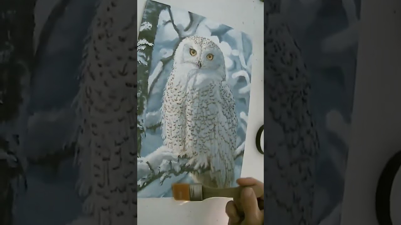 Snowy owl painting 