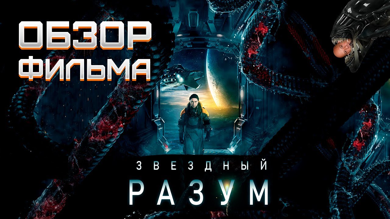 Обзор фильма 