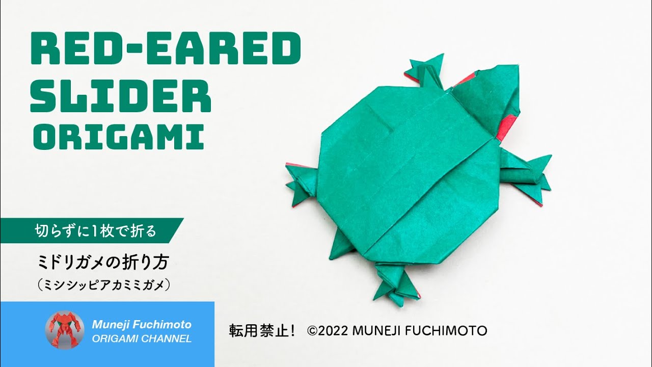 「折り紙」ミドリガメ（Red-eared slider origami）の折り方