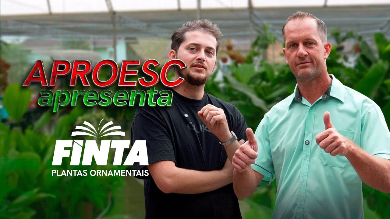 Aproesc Apresenta: Conheça a Finta Plantas Ornamentais, de Corupá SC