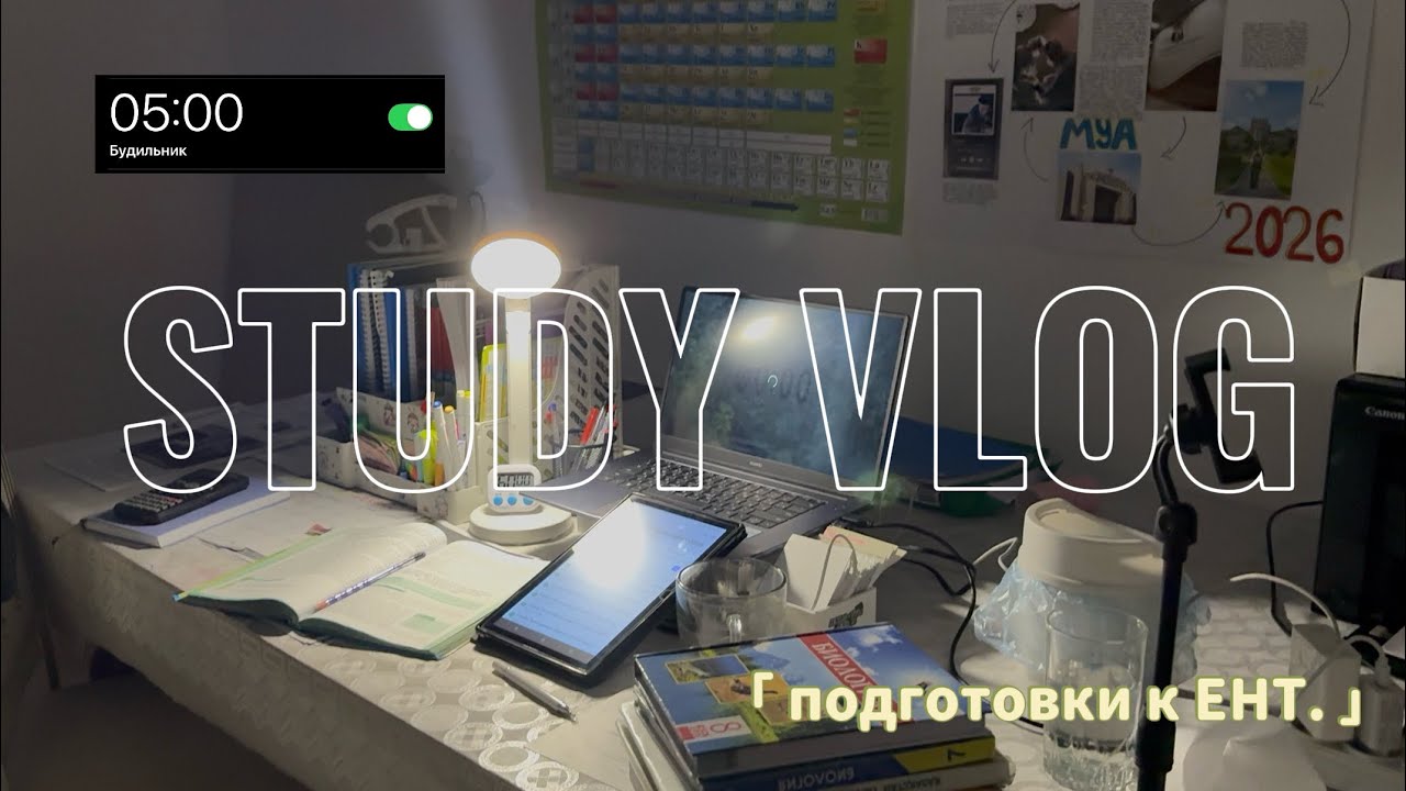 Один день ученицы 11 класса | подготовка к ЕНТ | VLOG |