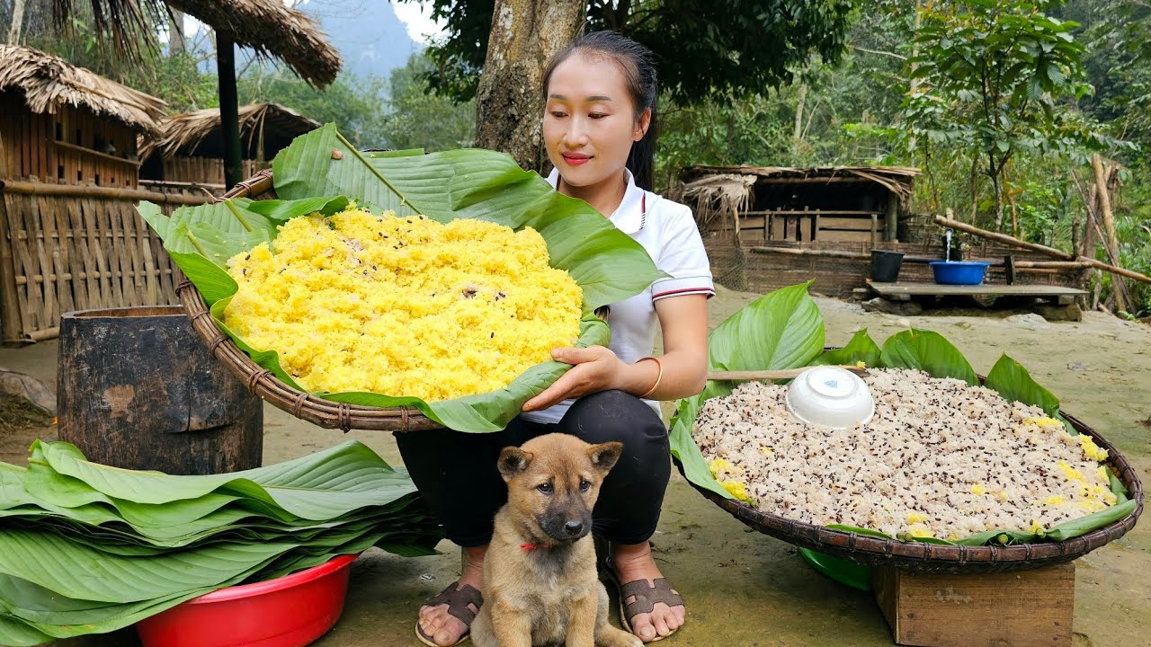 Process of making sticky rice with beans, turmeric sticky rice goes to the market sell | Ly Thi Tam