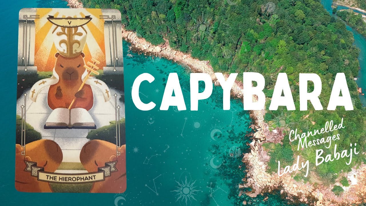 ✨CAPYBARA ANIMAL SPIRIT MESSAGES ~ SMARTER THAN YOUR AVERAGE &hellip;&hellip; ✨