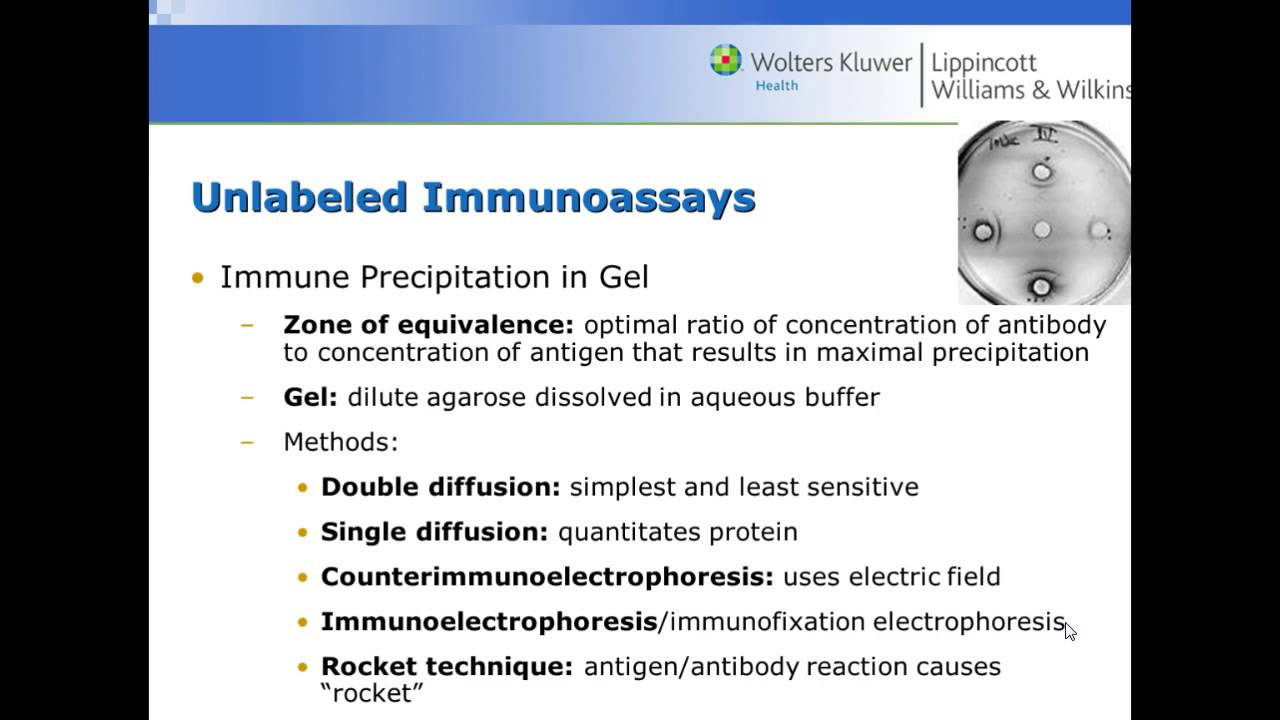 Chemistry 1 Module 3: Immunoassay