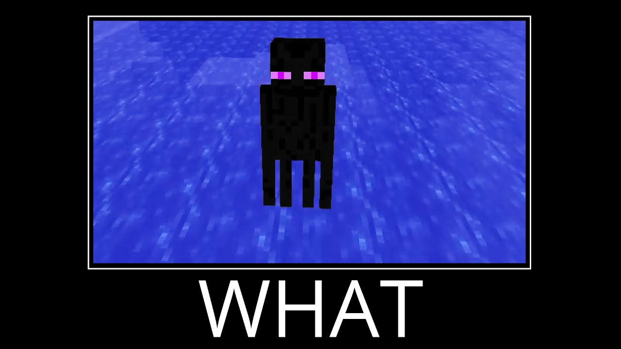 WAIT WHAT (Minecraft) #5