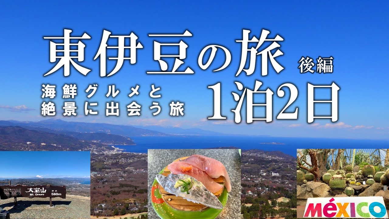【東伊豆旅行・後編】ドライブで絶景と海鮮グルメを満喫しまくる旅！東伊豆旅行1泊2日VLOG