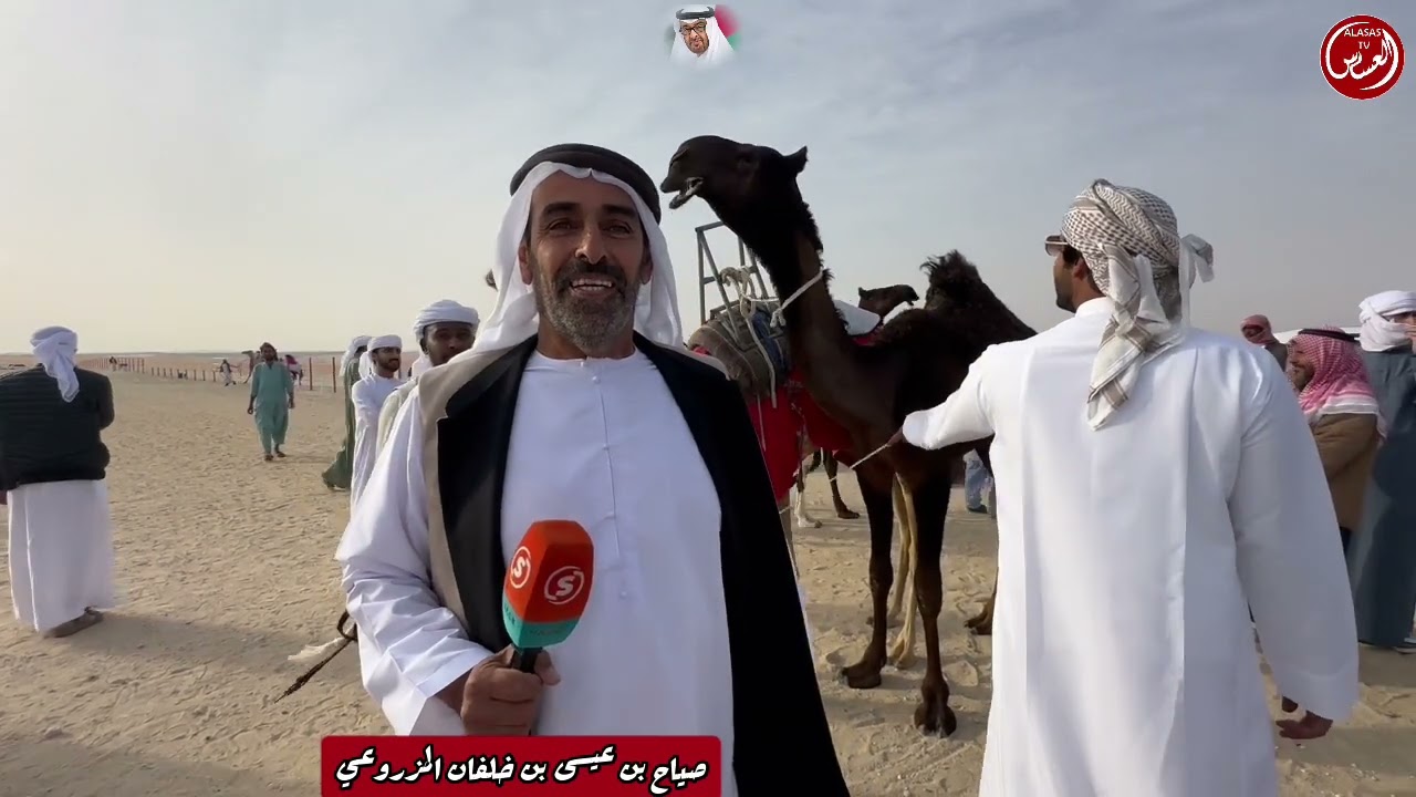 مهرجان الظفره 17 اليوم السابع عشر دخول المفاريد مجاهيم والمحليات