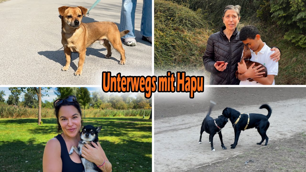 Meine Hundestroy: Menschen erzählen, warum sie sich für einen Hund entschieden haben