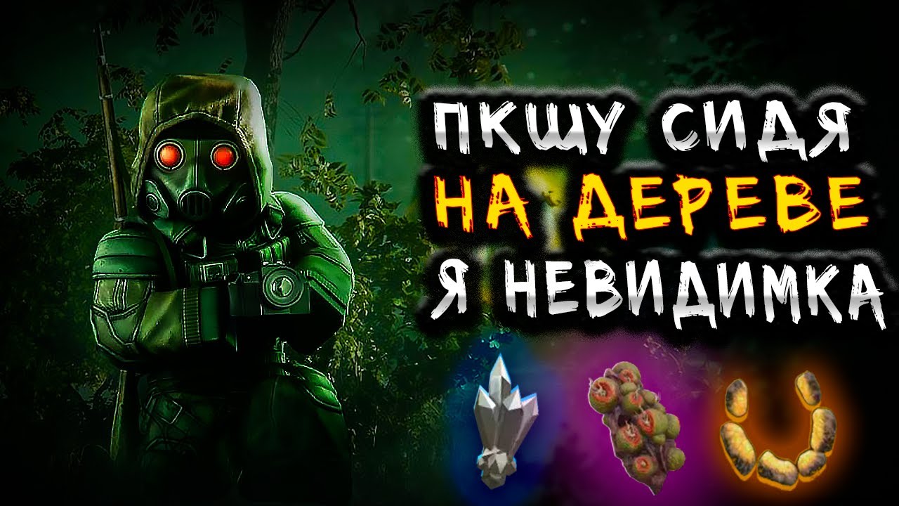 Я НАШЕЛ НОВЫЕ ИМБОВЫЕ ПОЗИЦИИ ДЛЯ ПКШЕРСТВА! Будни ПКшера в STALCRAFT: X